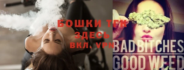 стаф Няндома