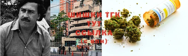 стаф Няндома