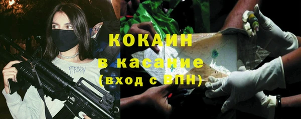 стаф Няндома