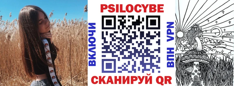 Псилоцибиновые грибы Psilocybe  Узловая 