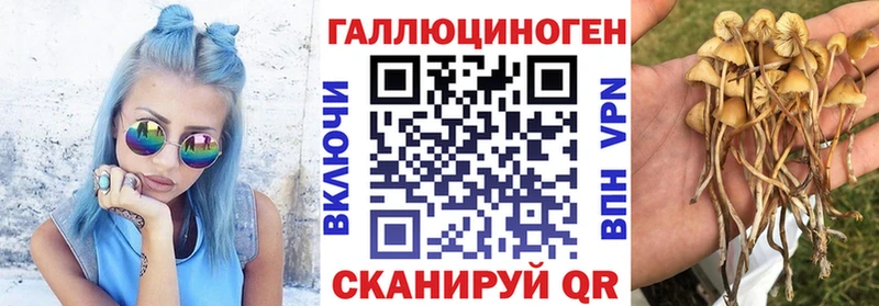 Псилоцибиновые грибы Cubensis Узловая