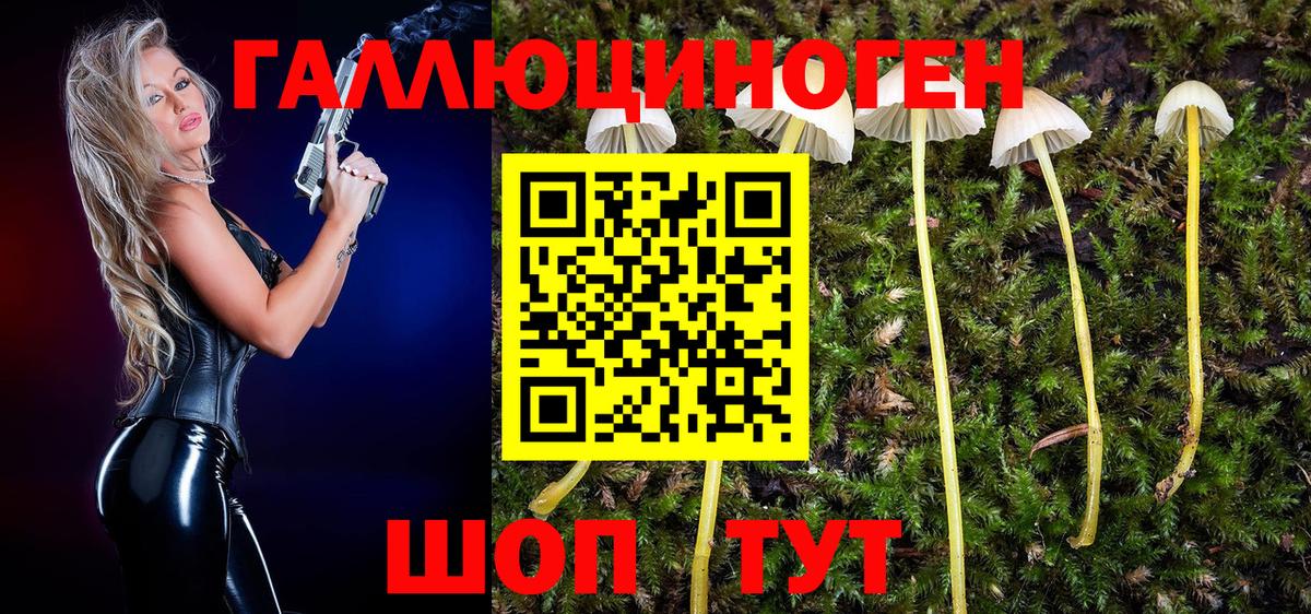 Галлюциногенные грибы Psilocybine cubensis Узловая